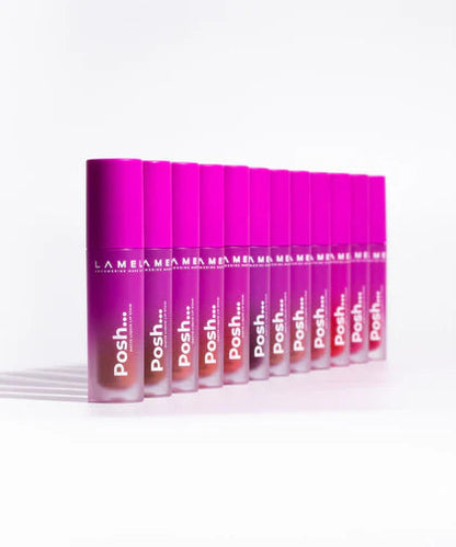 Posh Matte Liquid Lip Stain 406