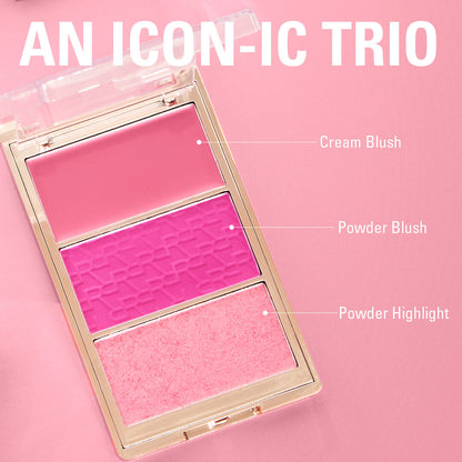 Blush Icon Palette Aura Points Rose